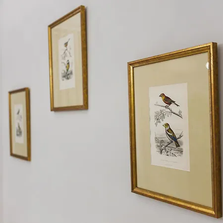Manoir Dacia - Oiseaux 8