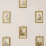 Manoir Dacia - Oiseaux 8 아파트