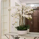 Manoir Dacia - Oiseaux 8 * Bucureşti