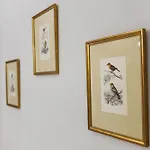 Manoir Dacia - Oiseaux 8