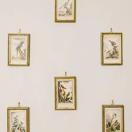 Manoir Dacia - Oiseaux 8 Daire