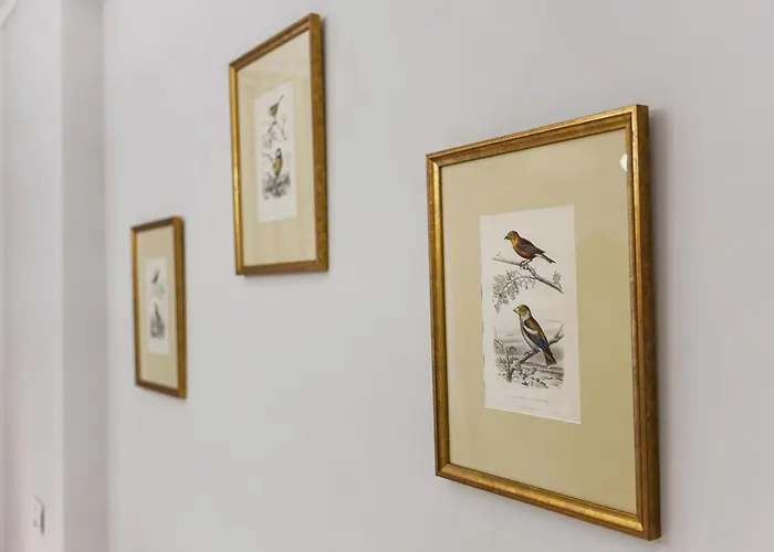 Manoir Dacia - Oiseaux 8